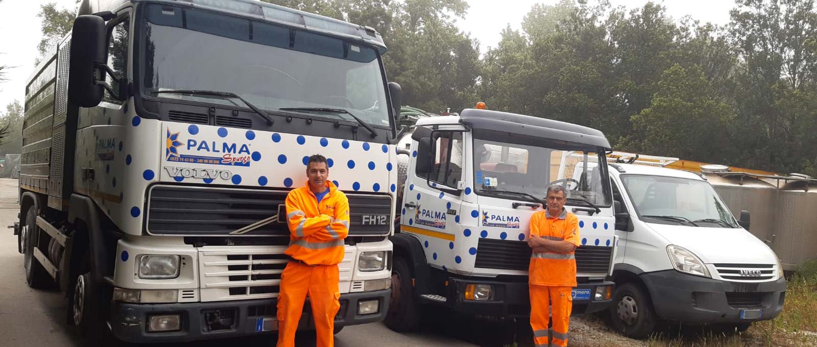 Palma Spurgo dal 1965