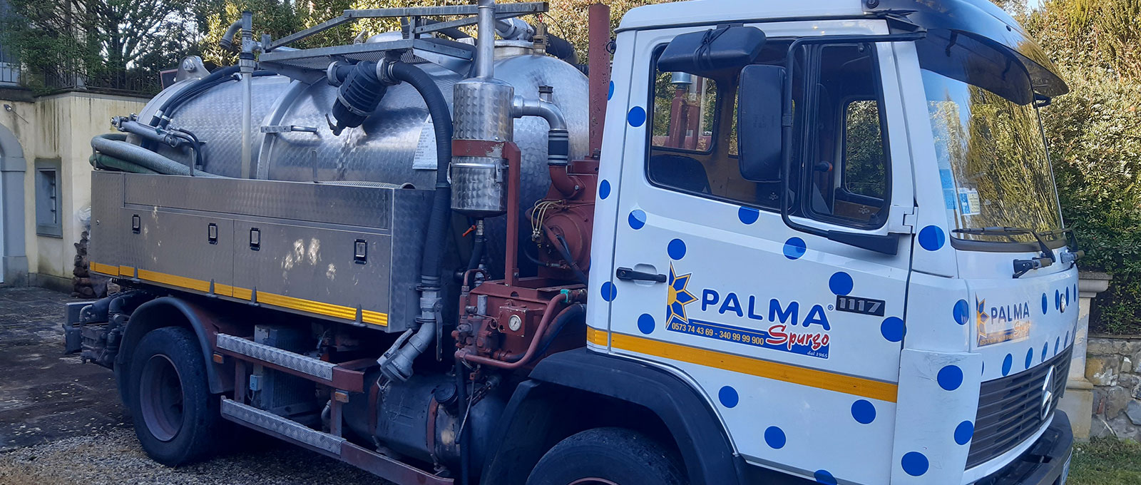 Palma Spurgo dal 1965