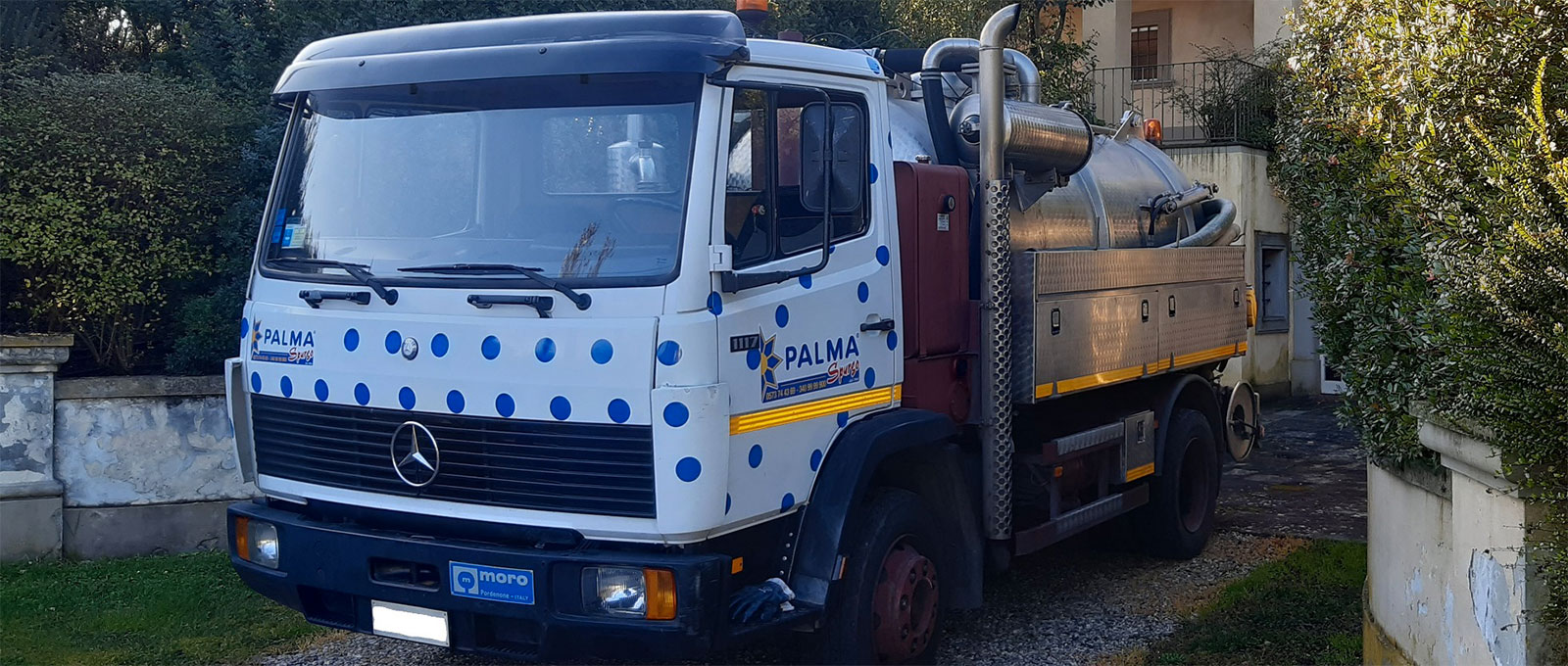 Palma Spurgo dal 1965