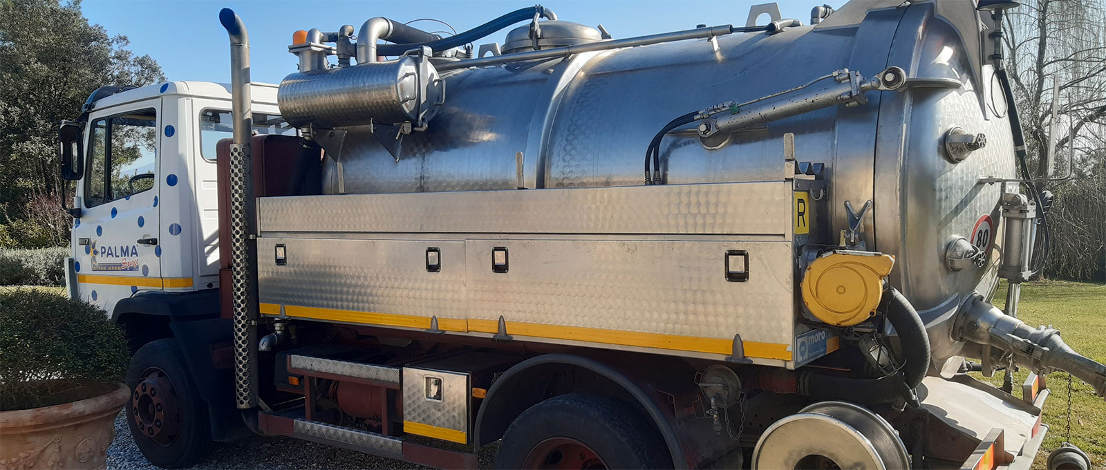 Palma Spurgo dal 1965