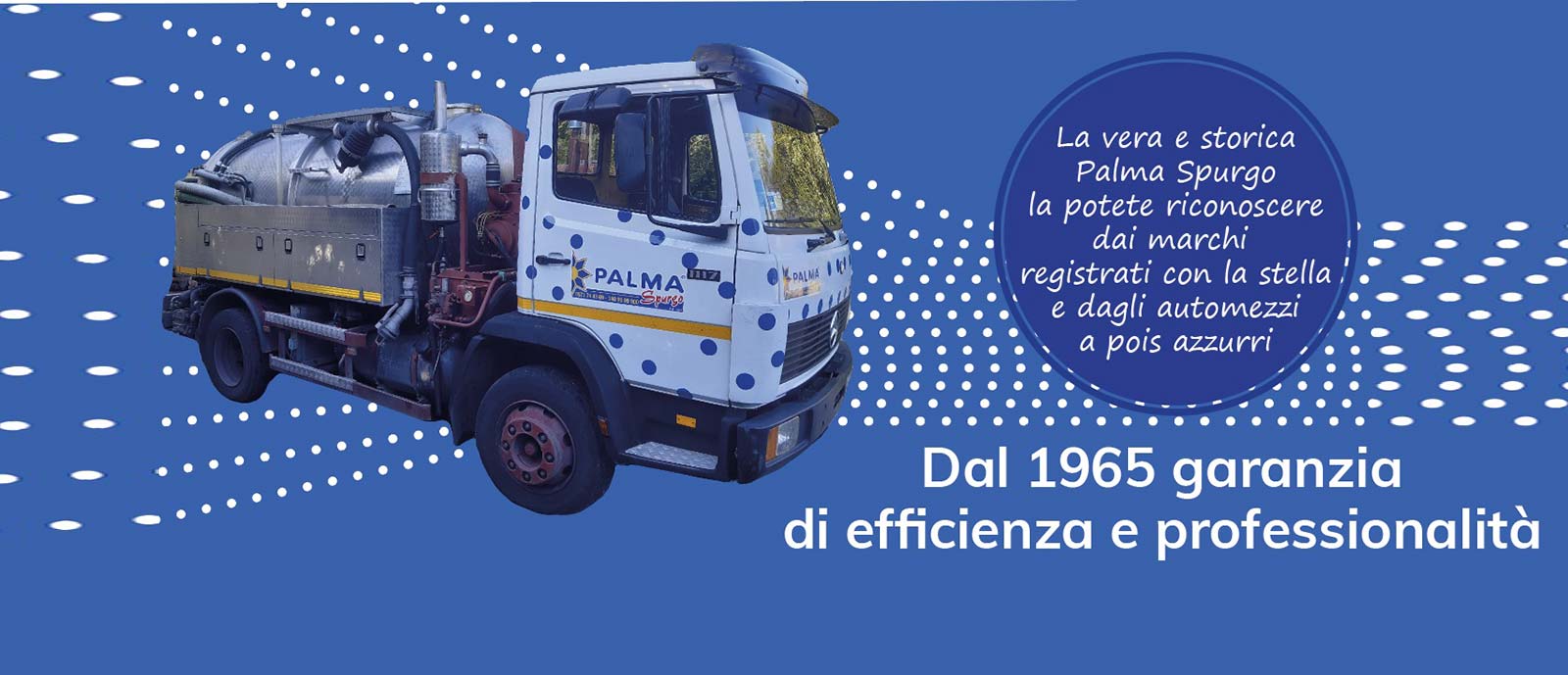 Palma Spurgo dal 1965